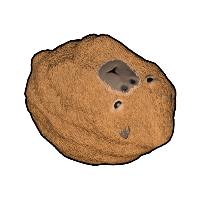 Capybara Rock