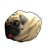 Pug Rock