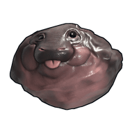 Baby Hippo Rock