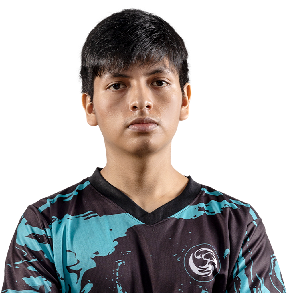 Glitter payk Player Sticker - TI 2024