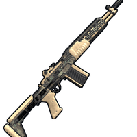 Desert Warrior