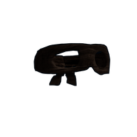 Burglar Mask