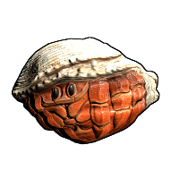 Hermit Crab Rock