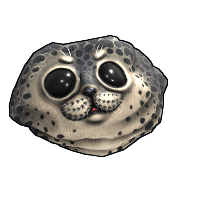 Harbor Seal Rock
