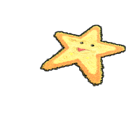 Starfish Rug