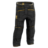 Black Gold Pants