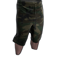 Camo Shorts
