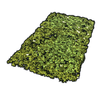 Grass Rug