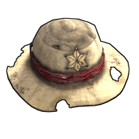 Cowboy Hat