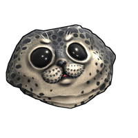 Harbor Seal Rock