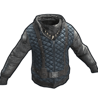 Arctic Wolf Hoodie