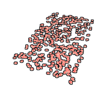 Rose Pedals Rug