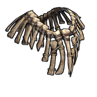 Bone Armor Poncho