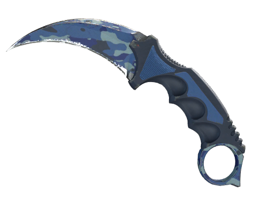 ★ Karambit | Bright Water (Well-Worn)