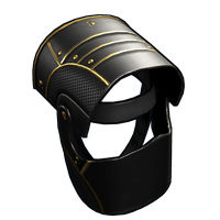 Black Gold Helmet