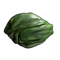 Frog Rock