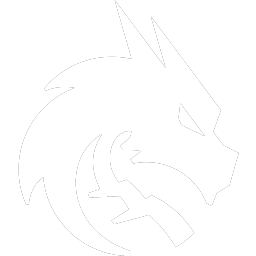 Team Spirit Team Sticker - TI 2025