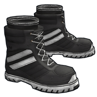 Training Boots