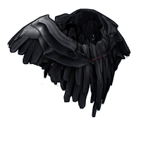 Raven Poncho