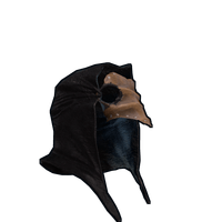 The Plague Doctor
