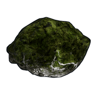 Mossy Fossil