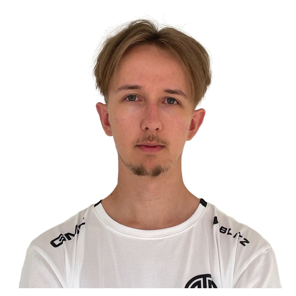 Ari Player Sticker - TI 2023