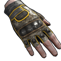 Motorcycle Gloves