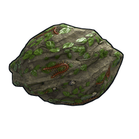 Swamp Rock