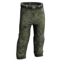 Flashbacks Pants