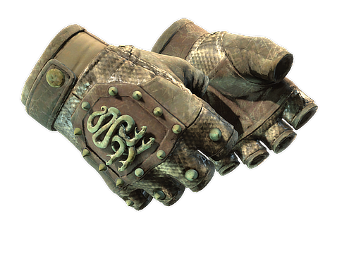 ★ Hydra Gloves | Rattler (Battle-Scarred)