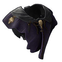 Witch Hide Poncho